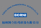 logo borni1